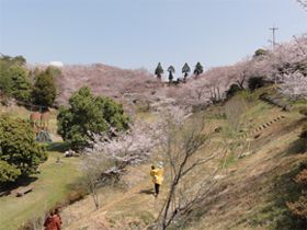 開山公園