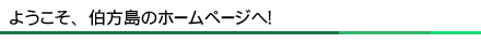 このサイトについて